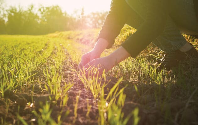 Soutien départemental à l’Agriculture biologique (SDAB)