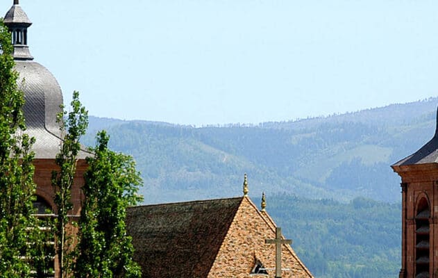 Saint-Dié-des-Vosges 2