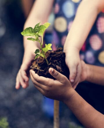 Je plante une haie pour mon école !