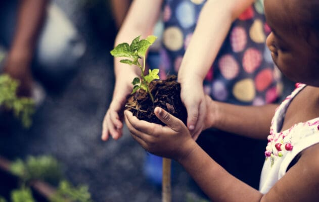 Je plante une haie pour mon école !