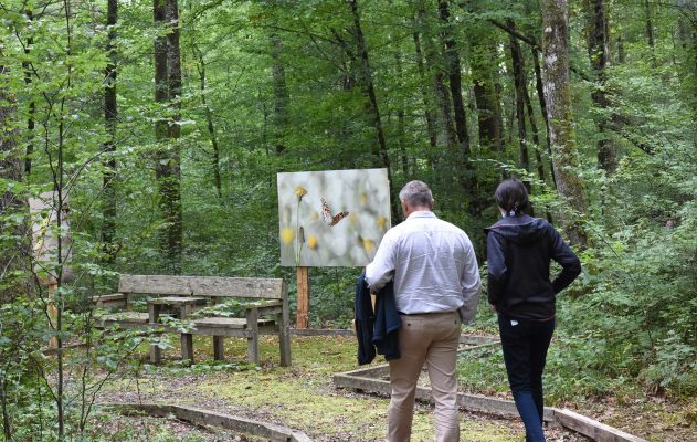 Soutien aux acteurs de la biodiversité