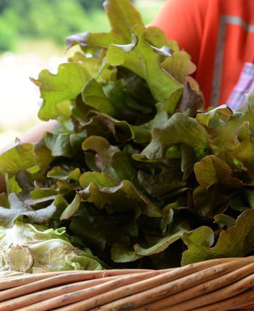 Aide aux associations à vocation agricole