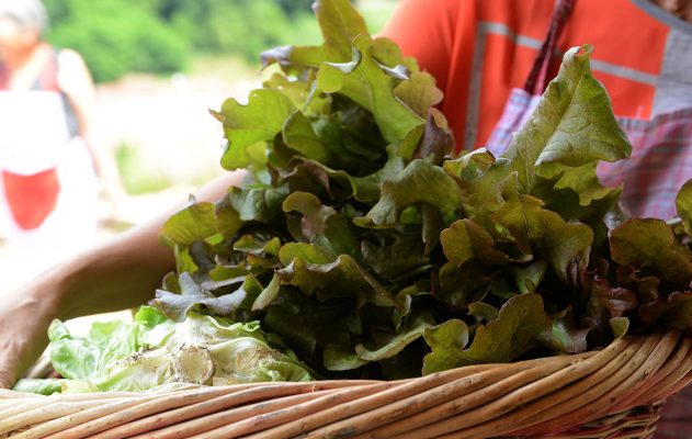 Aide aux associations à vocation agricole