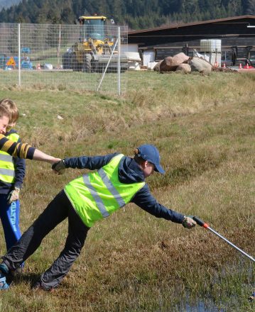 Chantier de nettoyage