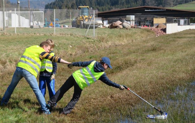 Chantier de nettoyage