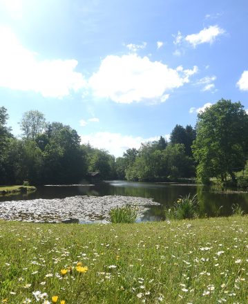 Aide aux collectivités dans le domaine de l’eau