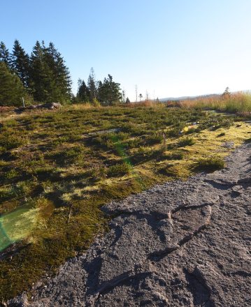 Préservation des Espaces Naturels Sensibles dans les Vosges