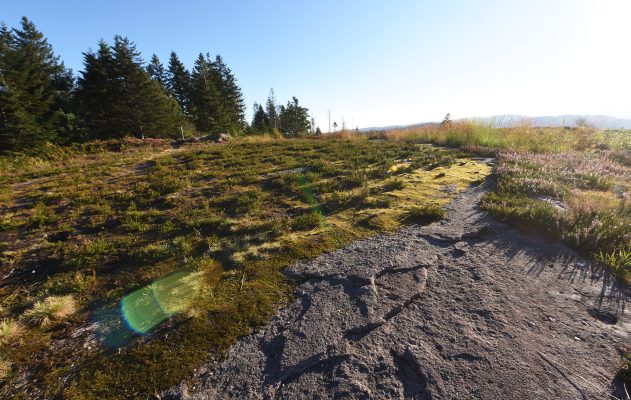 Préservation des Espaces Naturels Sensibles dans les Vosges