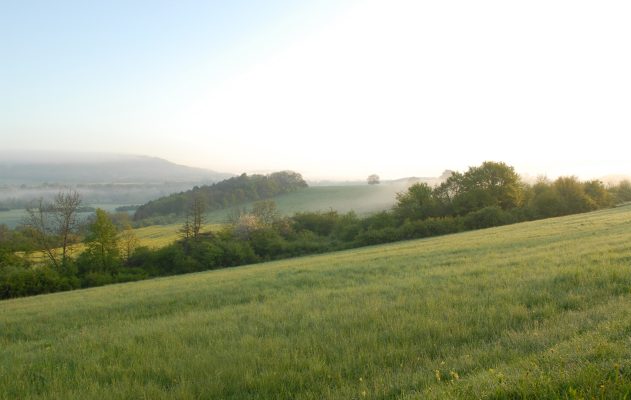 Plantez des haies !