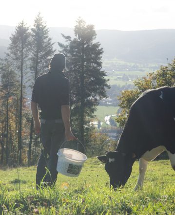 Soutien départemental aux investissements lors de l’installation agricole : SDIA – Non bénéficiaires de l’aide à l’installation cadre FEADER/REGION