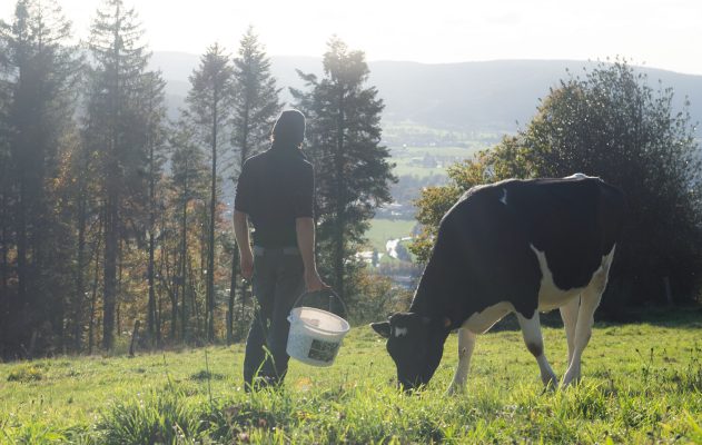 Soutien départemental aux investissements lors de l’installation agricole : SDIA – Non bénéficiaires de l’aide à l’installation cadre FEADER/REGION