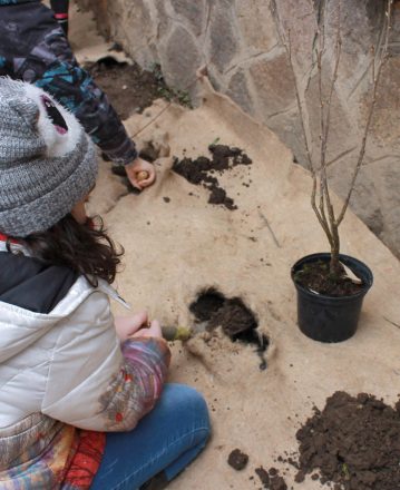 Ter’o, la plateforme d’éducation à l’environnement et au développement durable des Vosges