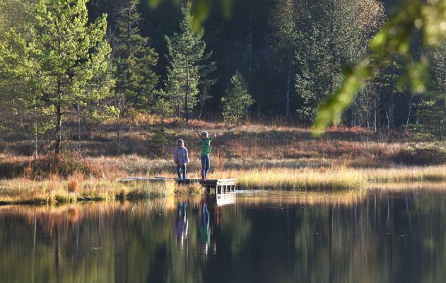 Le Département accélère pour « Vosges transition écologique »