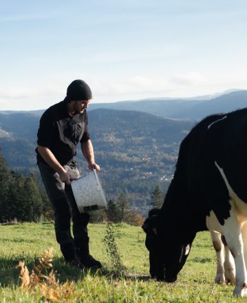 Laboratoire Départemental Vétérinaire et Alimentaire