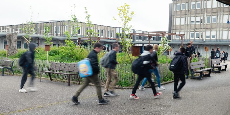 îlot de verdure collège de Rambervillers